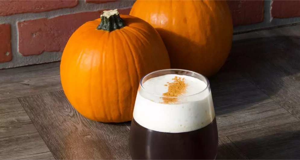 PROTEIN PUMPKIN COLD FOAM | Isopure US